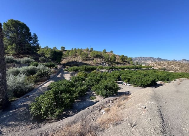 Terreno Non Edificato in vendita in Blanca - 30.000 € (Rif: 10147414)