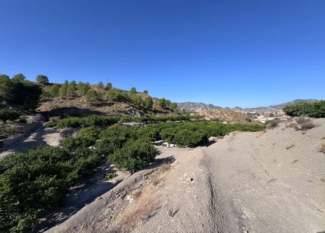 Terreno Non Edificato in vendita in Blanca - 30.000 € (Rif: 10147414)