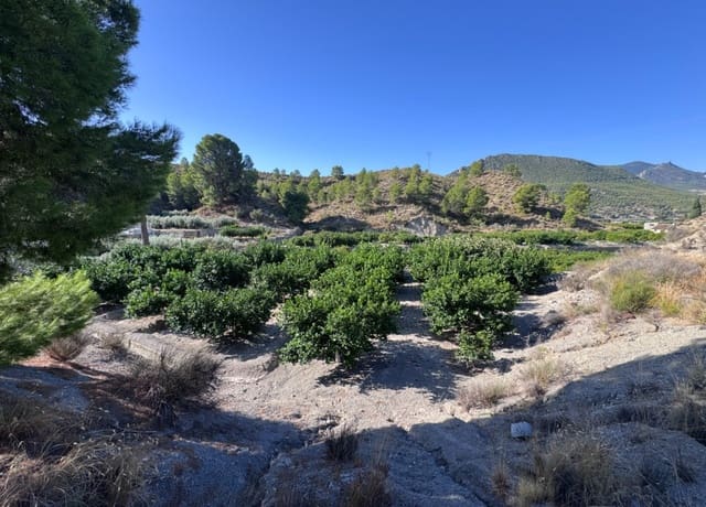 Terreno Non Edificato in vendita in Blanca - 30.000 € (Rif: 10147414)