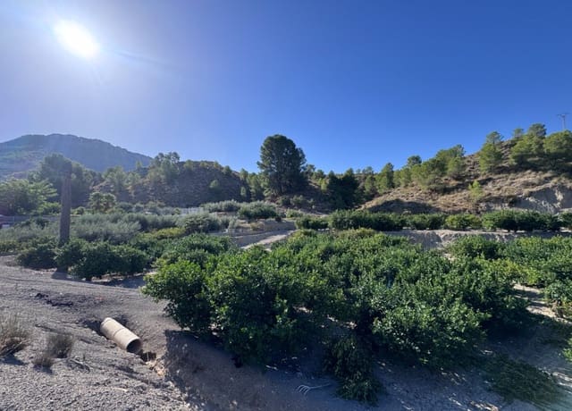 Terreno Non Edificato in vendita in Blanca - 30.000 € (Rif: 10147414)
