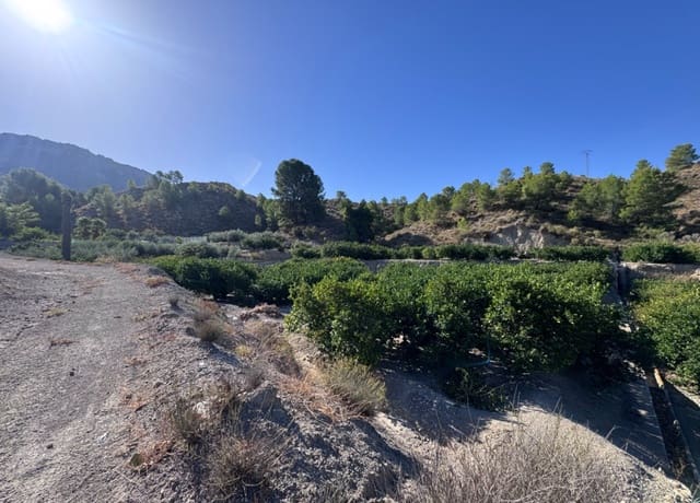 Terreno Non Edificato in vendita in Blanca - 30.000 € (Rif: 10147414)