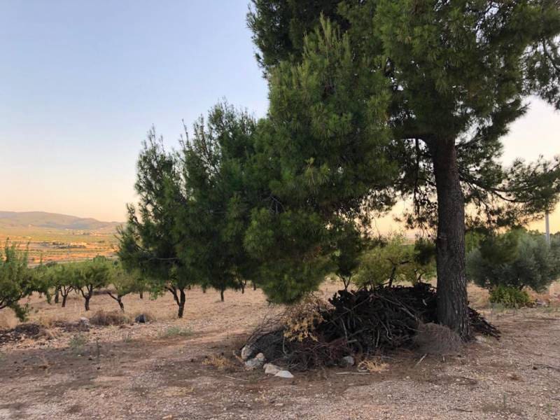 Finca/Landehus til salg i Ricote med garage - € 133.000 (Ref: 5589858)