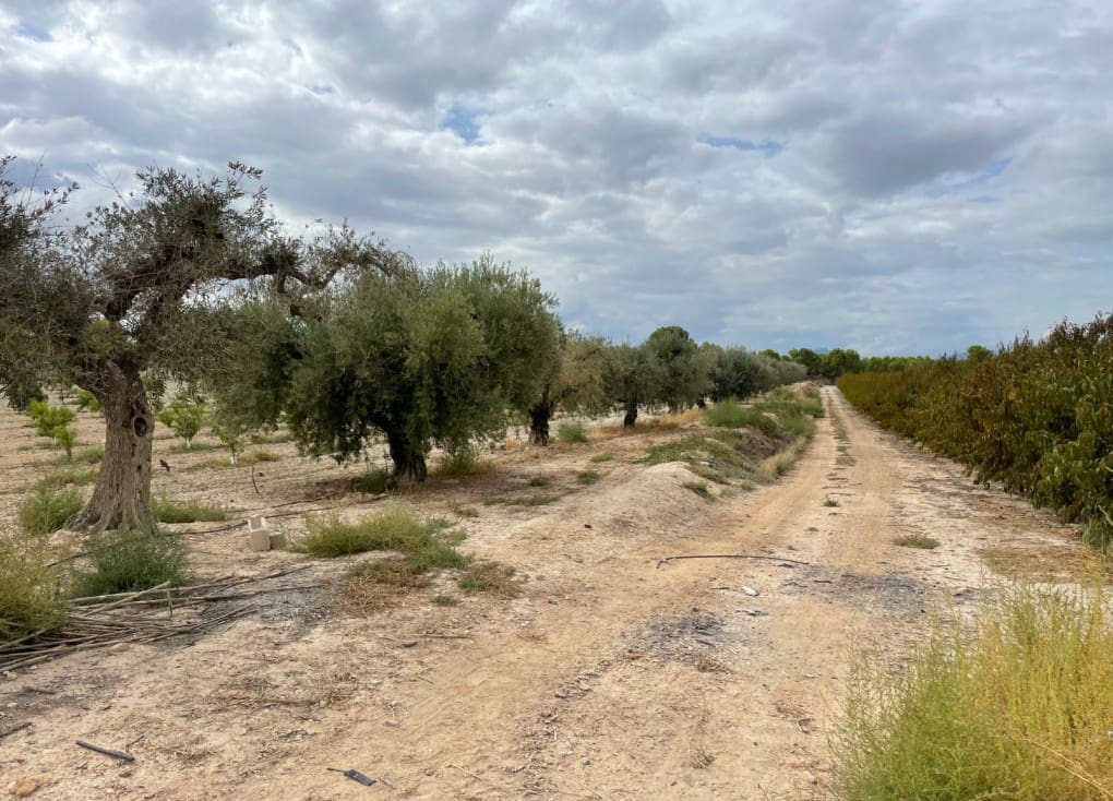 Finca/Casa Rural de 2 habitaciones en Cieza en venta con garaje - 390.000 € (Ref: 7708216)