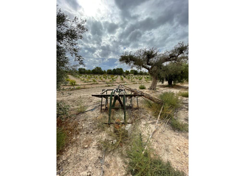 Finca/Casa Rural de 2 habitaciones en Cieza en venta con garaje - 390.000 € (Ref: 7708216)