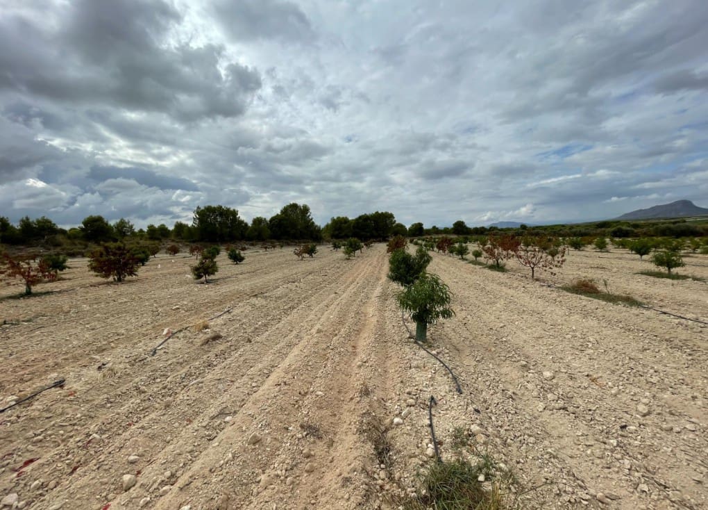 Finca/Casa Rural de 2 habitaciones en Cieza en venta con garaje - 390.000 € (Ref: 7708216)