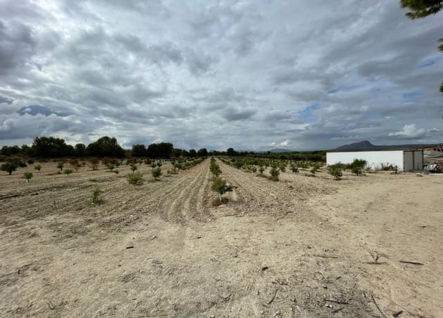 Finca/Casa Rural de 2 habitaciones en Cieza en venta con garaje - 390.000 € (Ref: 7708216)