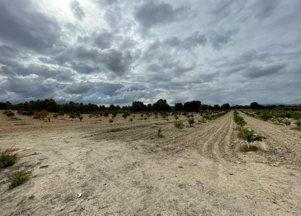 Finca/Casa Rural de 2 habitaciones en Cieza en venta con garaje - 390.000 € (Ref: 7708216)