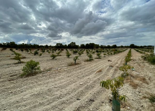 Finca/Casa Rural de 2 habitaciones en Cieza en venta con garaje - 390.000 € (Ref: 7708216)