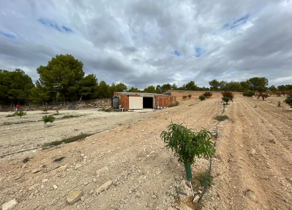 Finca/Casa Rural de 2 habitaciones en Cieza en venta con garaje - 390.000 € (Ref: 7708216)