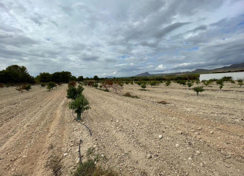 Finca/Casa Rural de 2 habitaciones en Cieza en venta con garaje - 390.000 € (Ref: 7708216)