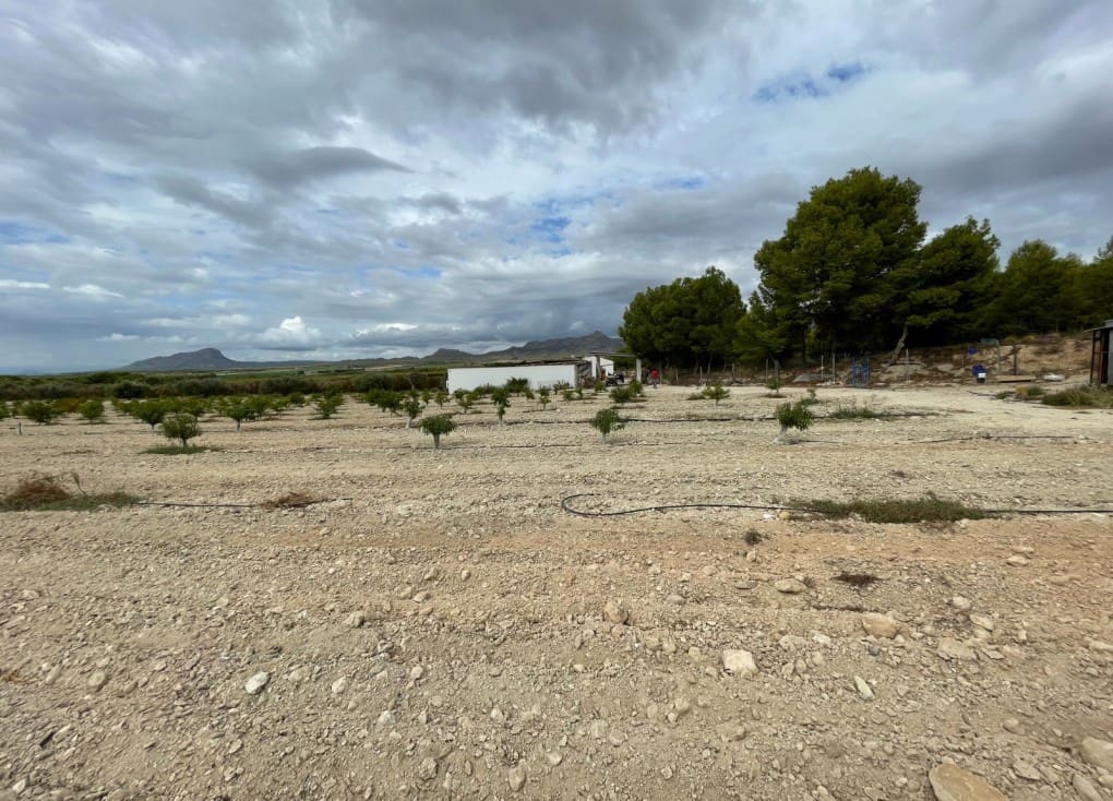 Finca/Casa Rural de 2 habitaciones en Cieza en venta con garaje - 390.000 € (Ref: 7708216)