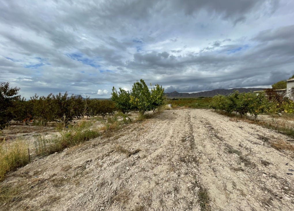 Finca/Casa Rural de 2 habitaciones en Cieza en venta con garaje - 390.000 € (Ref: 7708216)