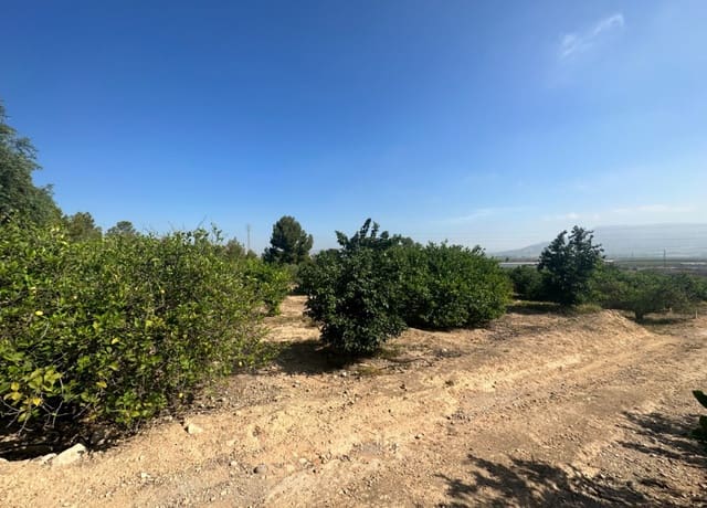 Building Plot for sale in Blanca - € 125,000 (Ref: 7732802)