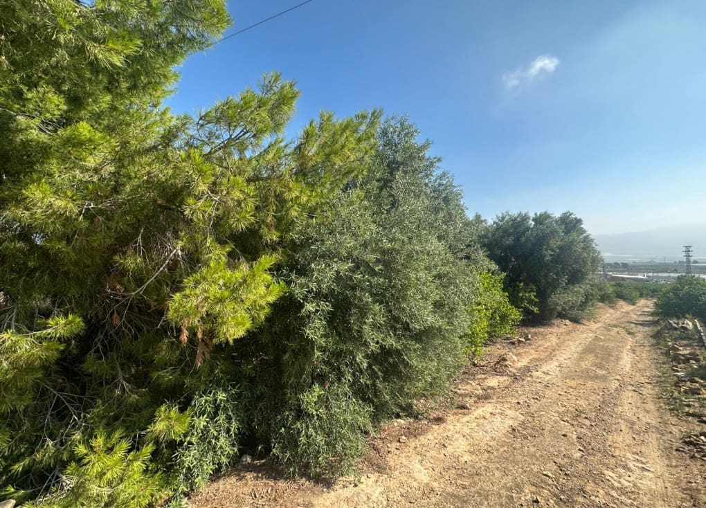 Building Plot for sale in Blanca - € 125,000 (Ref: 7732802)