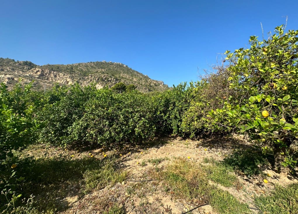 Building Plot for sale in Blanca - € 125,000 (Ref: 7732802)