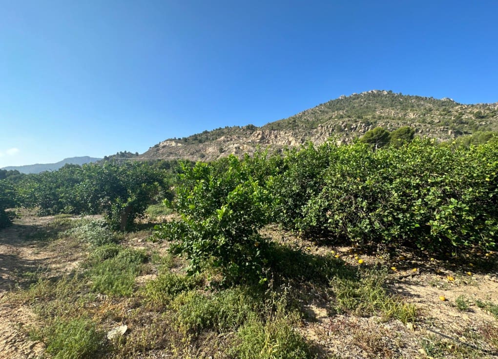 Building Plot for sale in Blanca - € 125,000 (Ref: 7732802)