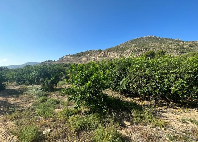 Building Plot for sale in Blanca - € 125,000 (Ref: 7732802)