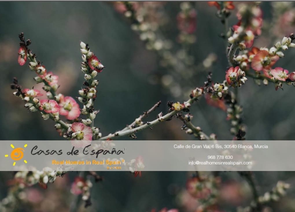 3 bedroom Finca/Country House for sale in Ricote with pool garage - € 299,000 (Ref: 8315848)