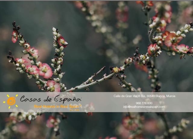 3 soveværelse Finca/Landehus til salg i Ricote med swimmingpool garage - € 299.000 (Ref: 8317637)