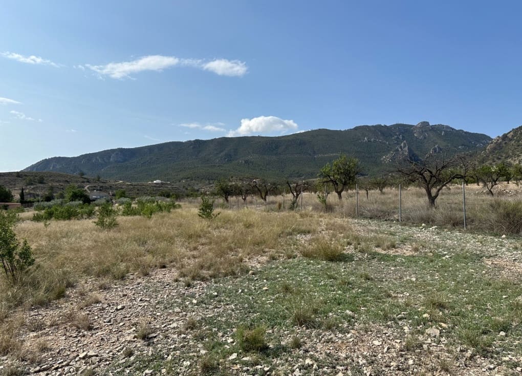 Byggegrund til salg i Ricote - € 50.000 (Ref: 8403791)