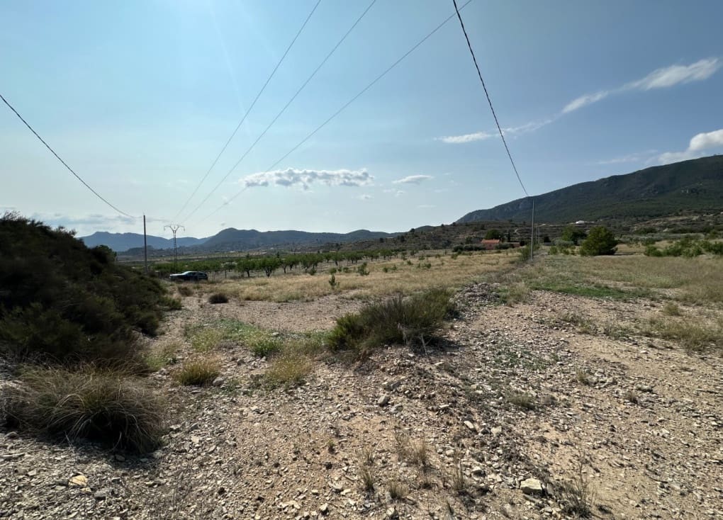 Byggegrund til salg i Ricote - € 50.000 (Ref: 8403791)