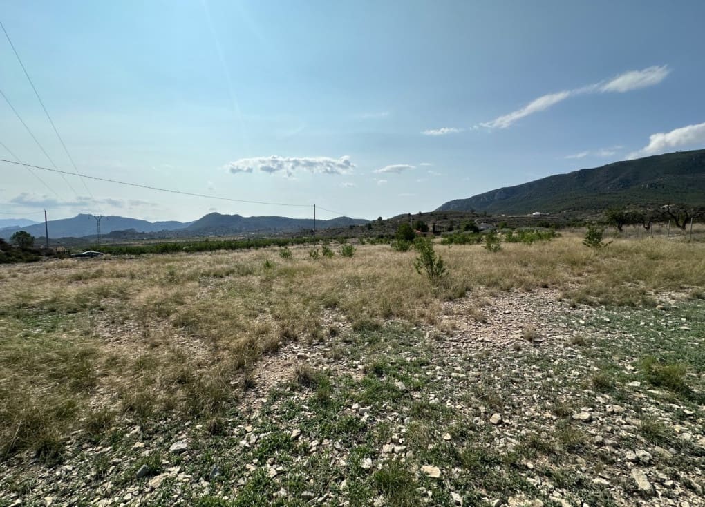 Byggegrund til salg i Ricote - € 50.000 (Ref: 8403791)