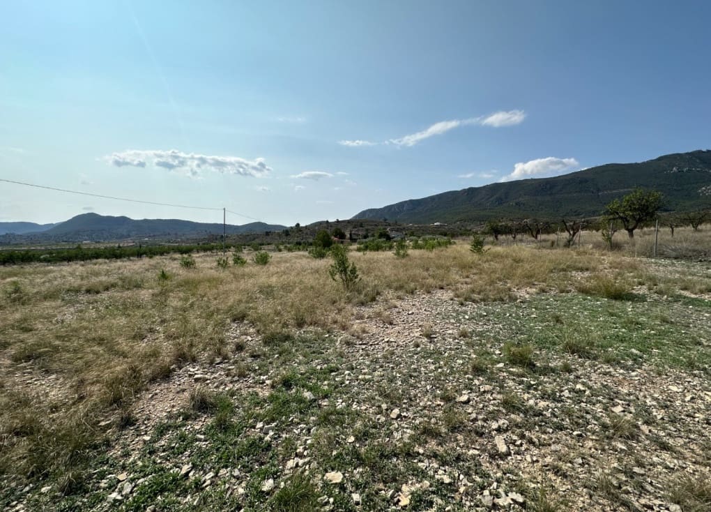 Byggegrund til salg i Ricote - € 50.000 (Ref: 8403791)