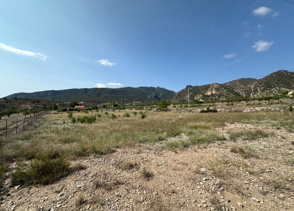 Byggegrund til salg i Ricote - € 50.000 (Ref: 8403791)