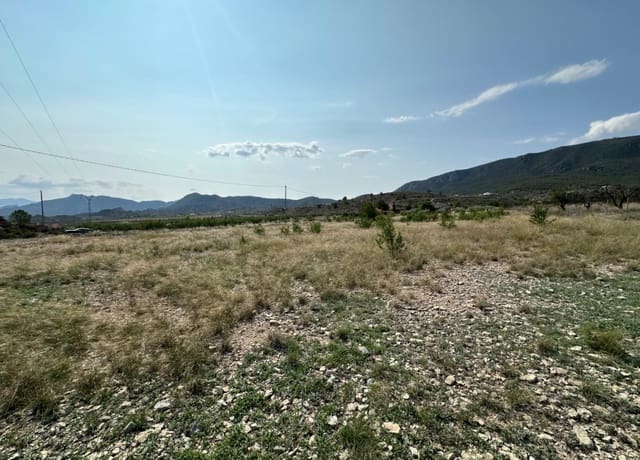 Tomt till salu i Ricote - 50 000 € (Ref: 8403791)