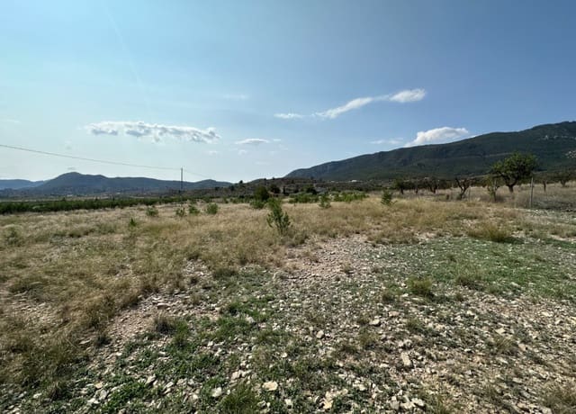 Tomt till salu i Ricote - 50 000 € (Ref: 8403791)