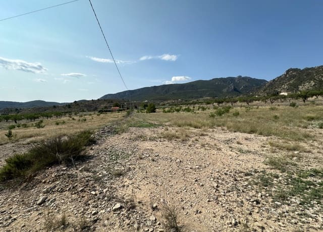 Tomt till salu i Ricote - 50 000 € (Ref: 8403791)