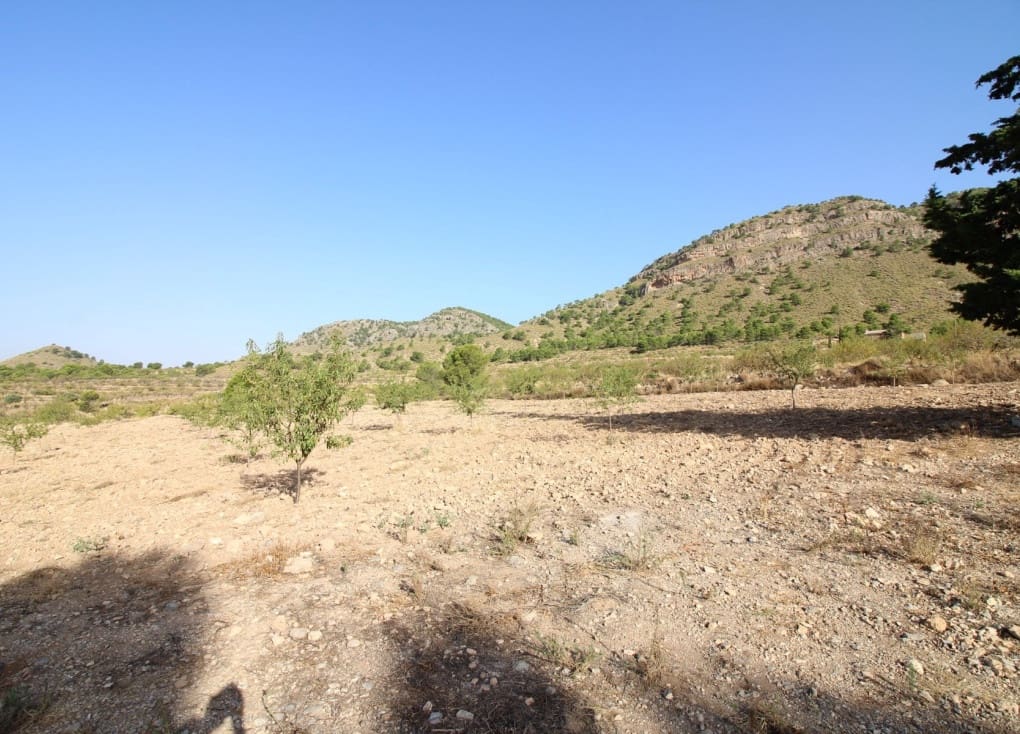 Building Plot for sale in Ricote - € 52,000 (Ref: 8560601)