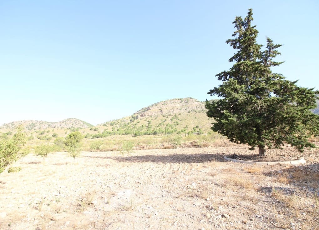 Building Plot for sale in Ricote - € 52,000 (Ref: 8560601)