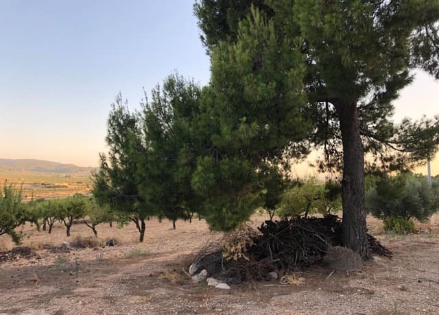 Building Plot for sale in Ricote - € 52,000 (Ref: 8560601)