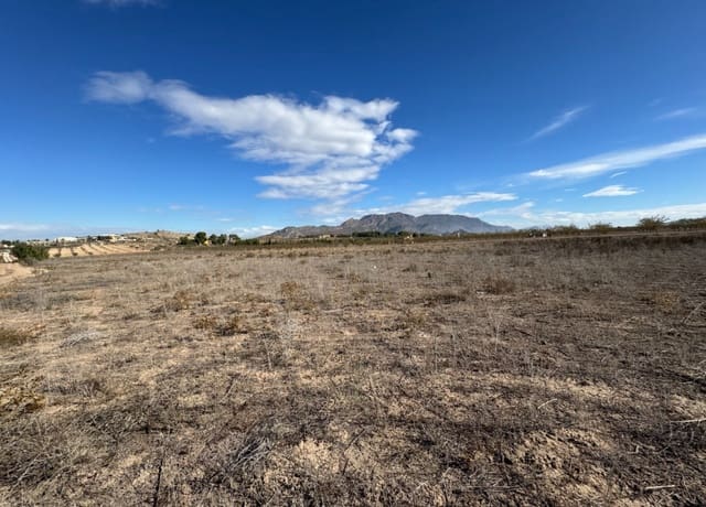 Bouwgrond te koop in Ricote - € 29.000 (Ref: 8670704)