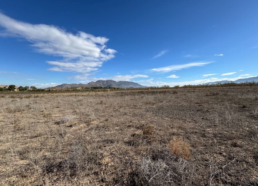 Byggegrund til salg i Ricote - € 29.000 (Ref: 8670704)