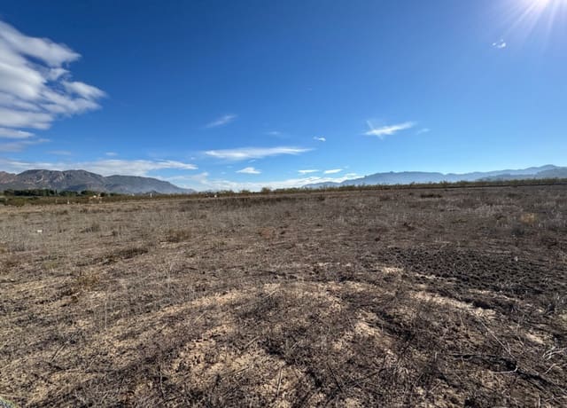 Bouwgrond te koop in Ricote - € 29.000 (Ref: 8670704)