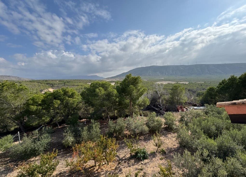 7 soveværelse Finca/Landehus til salg i Cieza med garage - € 531.000 (Ref: 8734421)