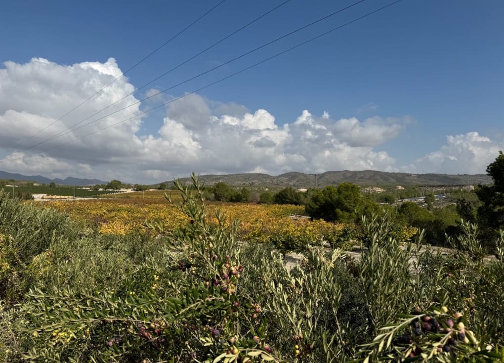 7 soveværelse Finca/Landehus til salg i Cieza med garage - € 531.000 (Ref: 8734421)