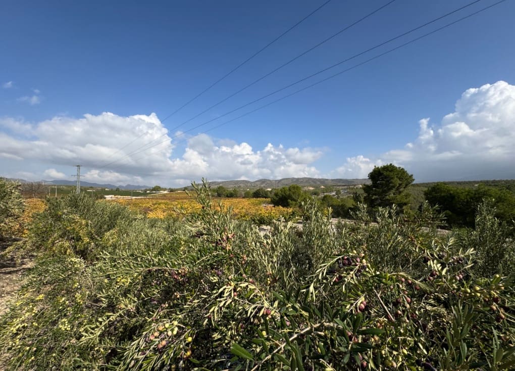 7 soveværelse Finca/Landehus til salg i Cieza med garage - € 531.000 (Ref: 8734421)