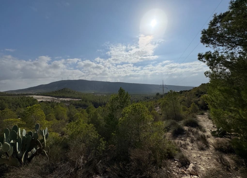 7 soveværelse Finca/Landehus til salg i Cieza med garage - € 531.000 (Ref: 8734421)