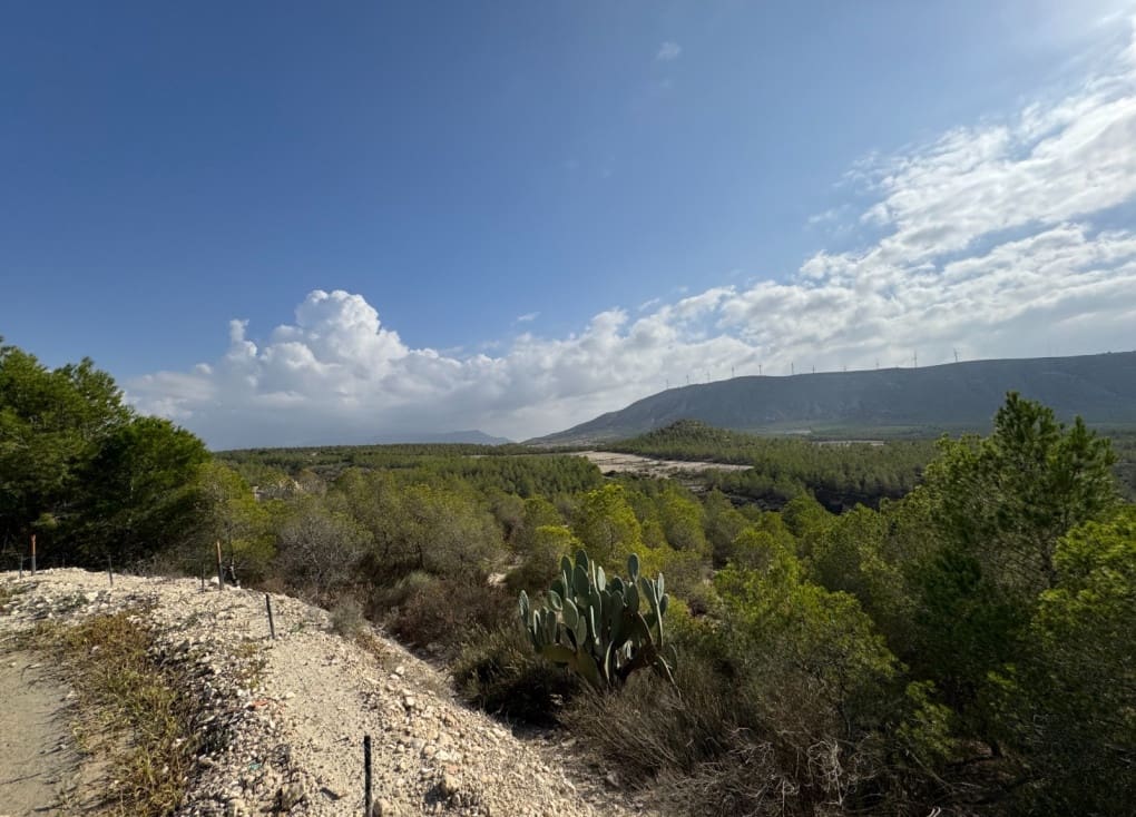 7 soveværelse Finca/Landehus til salg i Cieza med garage - € 531.000 (Ref: 8734421)