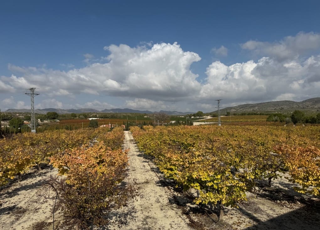 7 soveværelse Finca/Landehus til salg i Cieza med garage - € 531.000 (Ref: 8734421)