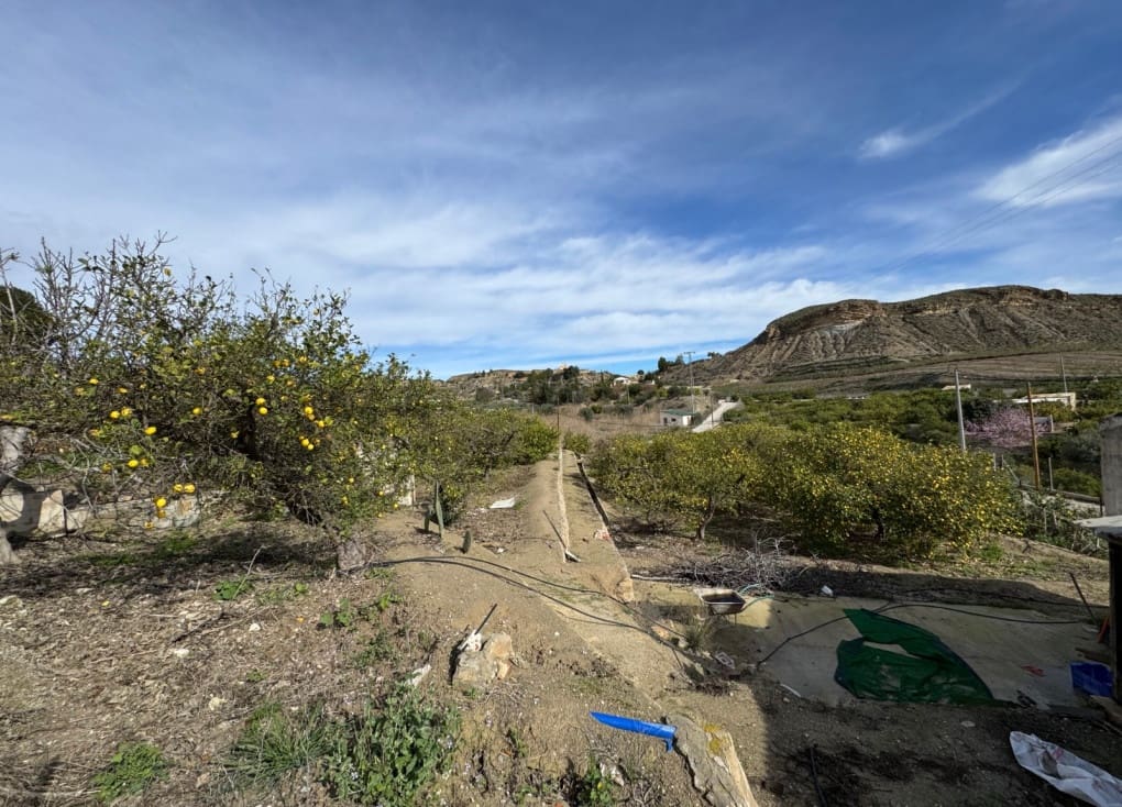 1 chambre Finca/Maison de Campagne à vendre à Blanca - 89 000 € (Ref: 8895831)