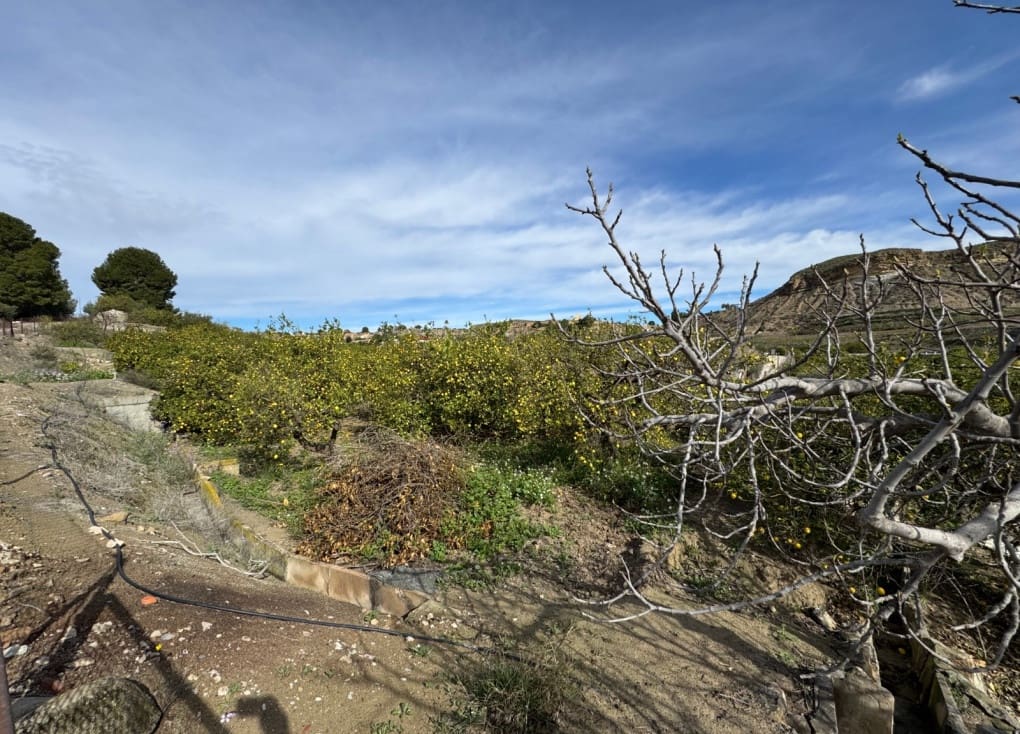 1 chambre Finca/Maison de Campagne à vendre à Blanca - 89 000 € (Ref: 8895831)