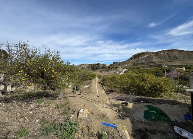 1 bedroom Finca/Country House for sale in Blanca - € 89,000 (Ref: 8895831)