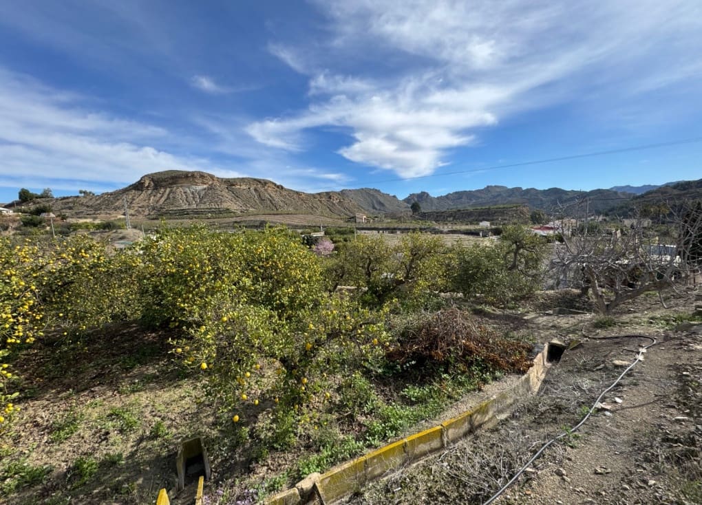 1 chambre Finca/Maison de Campagne à vendre à Blanca - 89 000 € (Ref: 8895831)