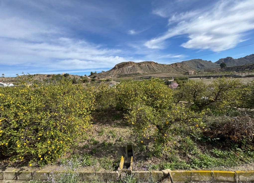 1 chambre Finca/Maison de Campagne à vendre à Blanca - 89 000 € (Ref: 8895831)