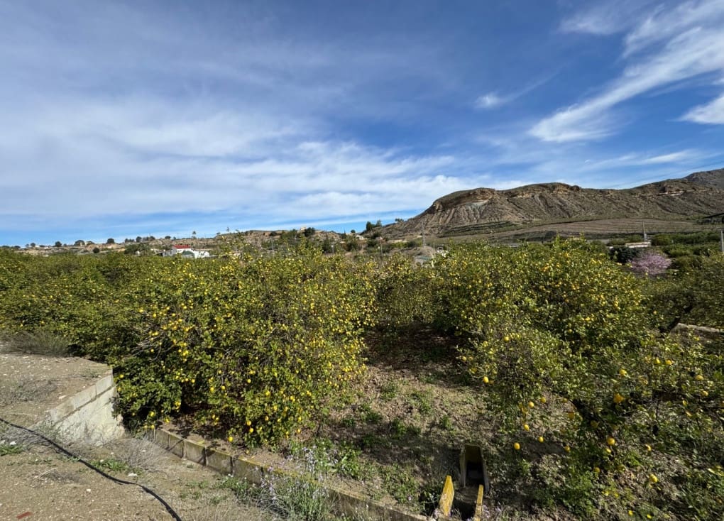 1 chambre Finca/Maison de Campagne à vendre à Blanca - 89 000 € (Ref: 8895831)