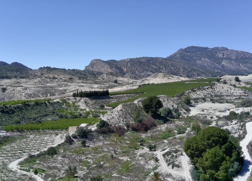 1 chambre Finca/Maison de Campagne à vendre à Blanca - 89 000 € (Ref: 8895831)